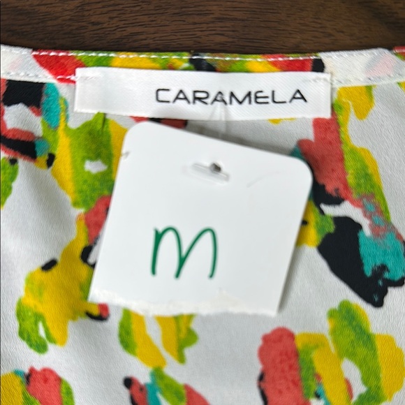 Caramela Whitley Multicolor Abstract Print Oversized Top Size Medium NWT - Picture 9 of 12